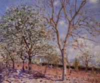 Sisley, Alfred - Plum and Walnut Trees in Spring